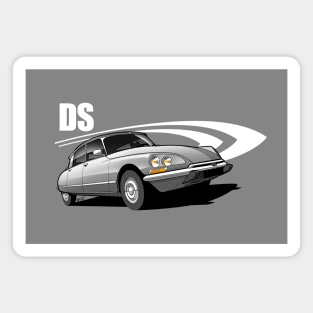 DS transparent illustration Magnet